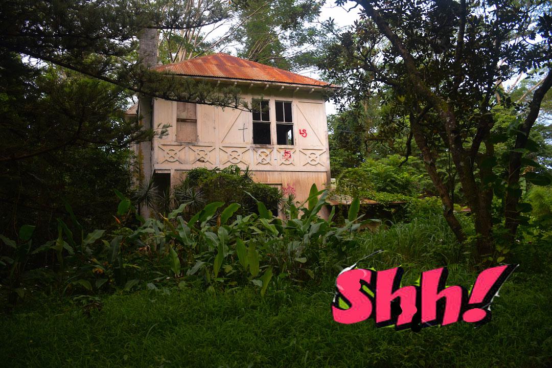 ../../shimages/catglee_joepalookanazis/catglee_joepalooka_nazis_1_htm_4d405d04.jpg