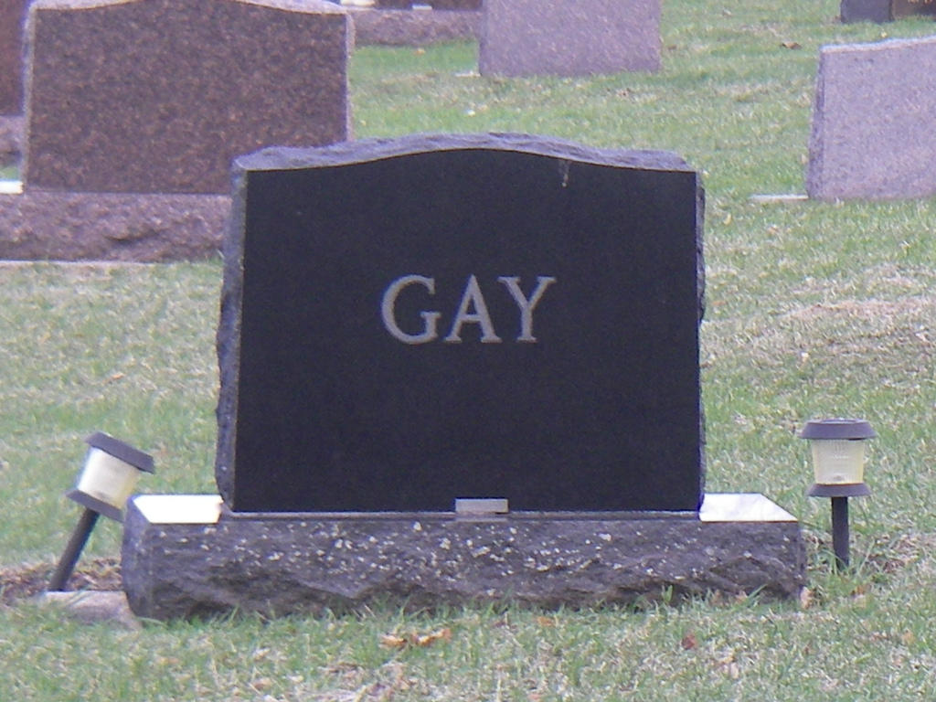 ../../shimages/fin/fin_article_horses_over_gays/fin_article_horses_over_gays_htm_5a000927.jpg