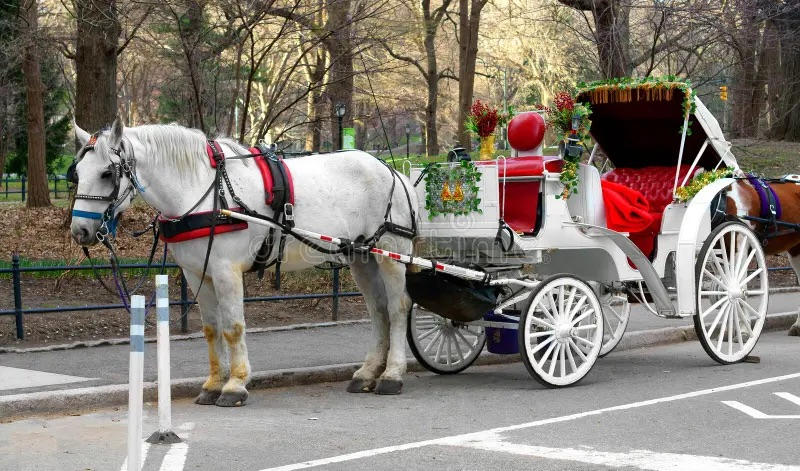 ../../shimages/fin/fin_article_horses_over_gays/fin_article_horses_over_gays_htm_m1d480ea3.jpg